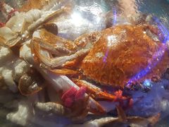 蒸汽海鲜-乔哥铭洋海鲜自助(皇城恒隆广场店)