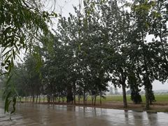 -汉长安城未央宫国家考古遗址公园