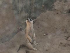 -昆明动物园