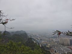 -西华公园