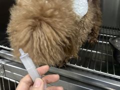 -佳雯宠物医院·皮肤科·内外科(春晓路分院)