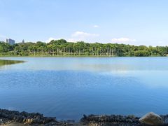 -番禺大夫山森林公园