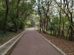 -南山风景名胜区