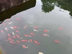 -蛇蟠岛