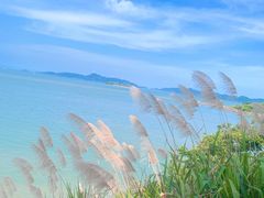 -东海半边山旅游度假区