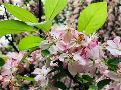 -白鹭湾湿地公园