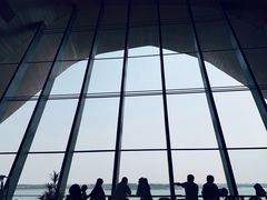 -抱抱地球咖啡馆(国家海洋博物馆店)