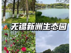 -新洲生态园