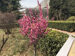 -山东师范大学(千佛山校区)
