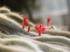 -南通洲际绿博园