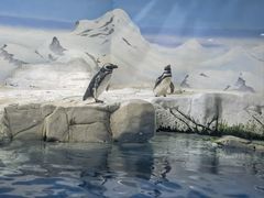 -上海海洋水族馆