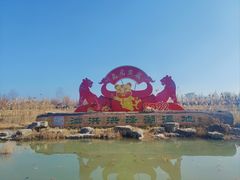 -泗洪洪泽湖湿地景区
