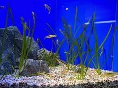 -上海海洋水族馆