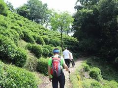 -西湖风景区十里琅珰-五云山