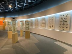 -陕西自然博物馆