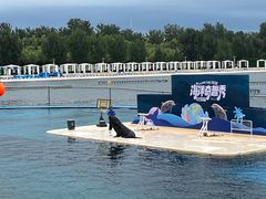 -渔岛海洋度假区