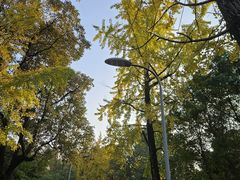 -四川大学(望江校区)