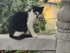 -宝通禅寺