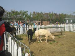 -上海长兴岛郊野公园