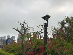 -珠海拱北口岸