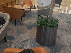 -逸派咖啡 EPARKCOFFEE(广安门店)