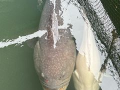 -蓝湾碧波·老字号·疍家非遗海上餐厅