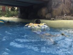 -热高乐园巴厘岛水世界