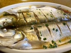 -呼吸森林·生态农庄农家乐私房菜