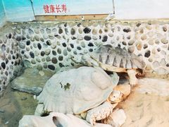 -上海大自然野生昆虫馆(东方明珠·爬宠昆虫探索中心)