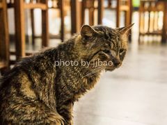 -随柳居·苏式小吃(建新巷店)