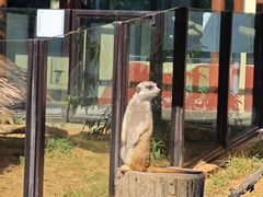 -大连森林动物园