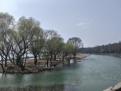 -苏州太湖湖滨国家湿地公园