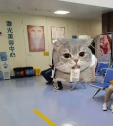 -八大处整形