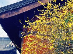 -钱王祠