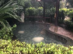 -明月山天沐温泉度假村