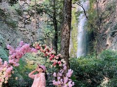 -莫里热带雨林景区
