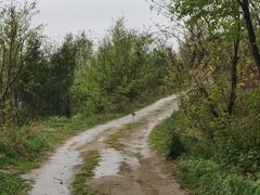 -秦岭终南山世界地质公园翠华山景区
