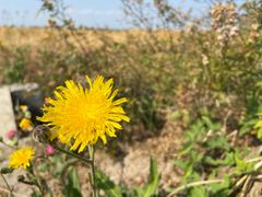 -漩门湾国家湿地公园