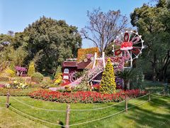 -上海共青森林公园