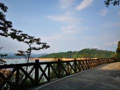 -广州市流溪河国家森林公园