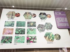 -北京中医药大学-中医药博物馆