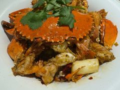 -石头咕(黄岐店)