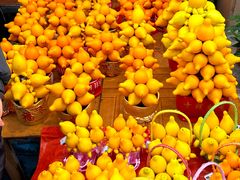 -天河体育中心