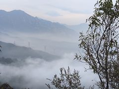 -北京鹫峰国家森林公园