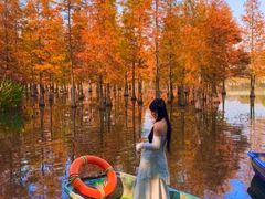 -白鹭湾湿地公园