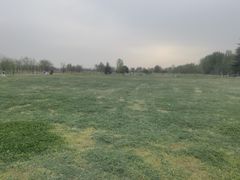 -汉长安城未央宫国家考古遗址公园