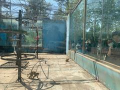 -秦皇岛野生动物园