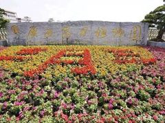 -广西壮族自治区药用植物园