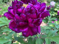 -江南大学(蠡湖校区)