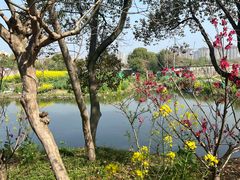 -南汇桃花村